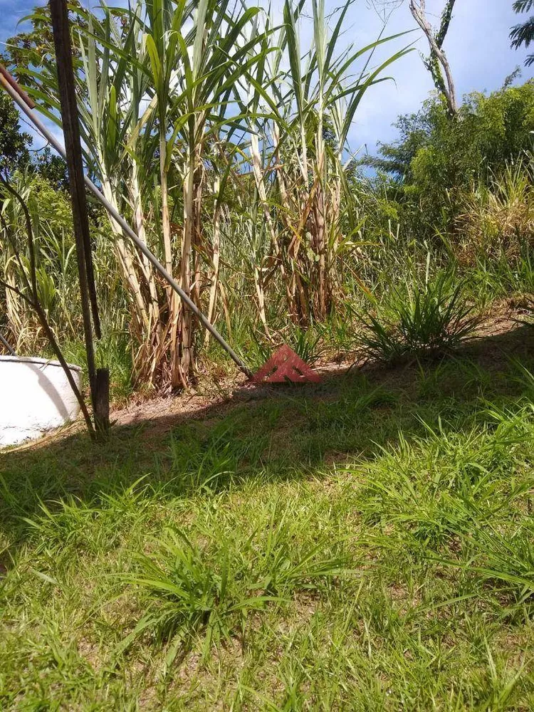 Terreno, 3 hectares - Foto 10