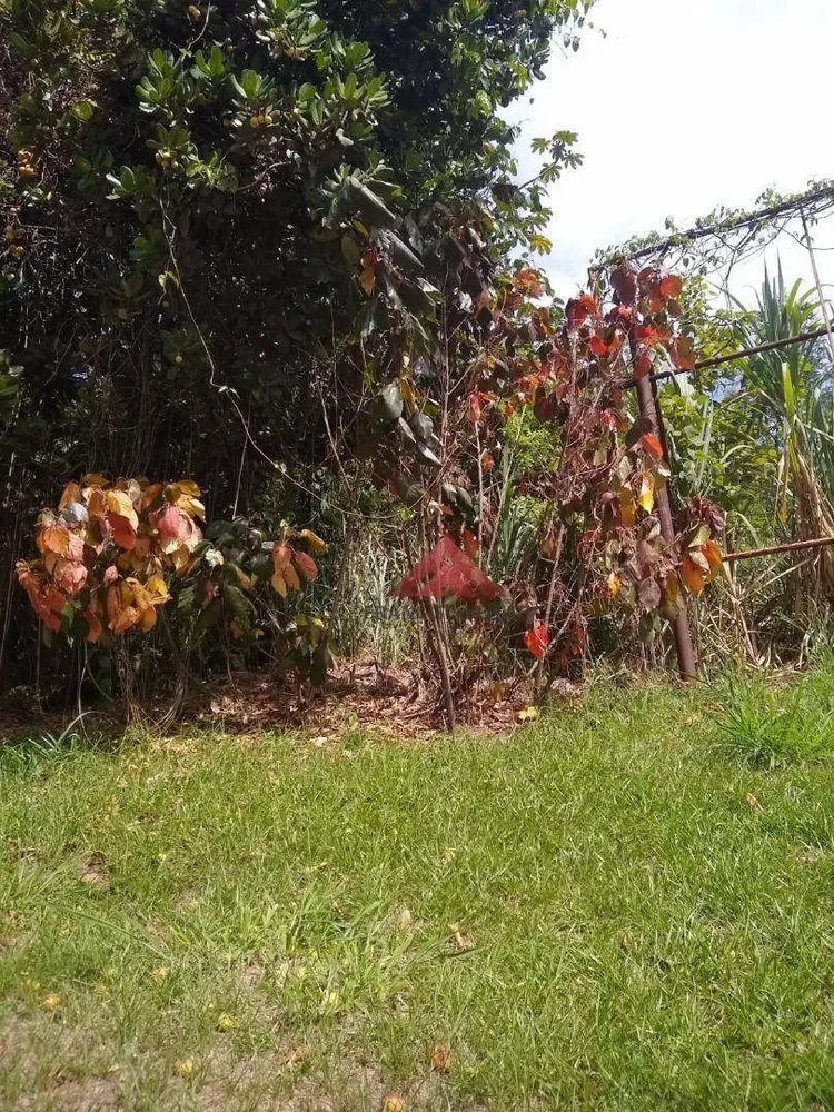 Terreno, 3 hectares - Foto 3