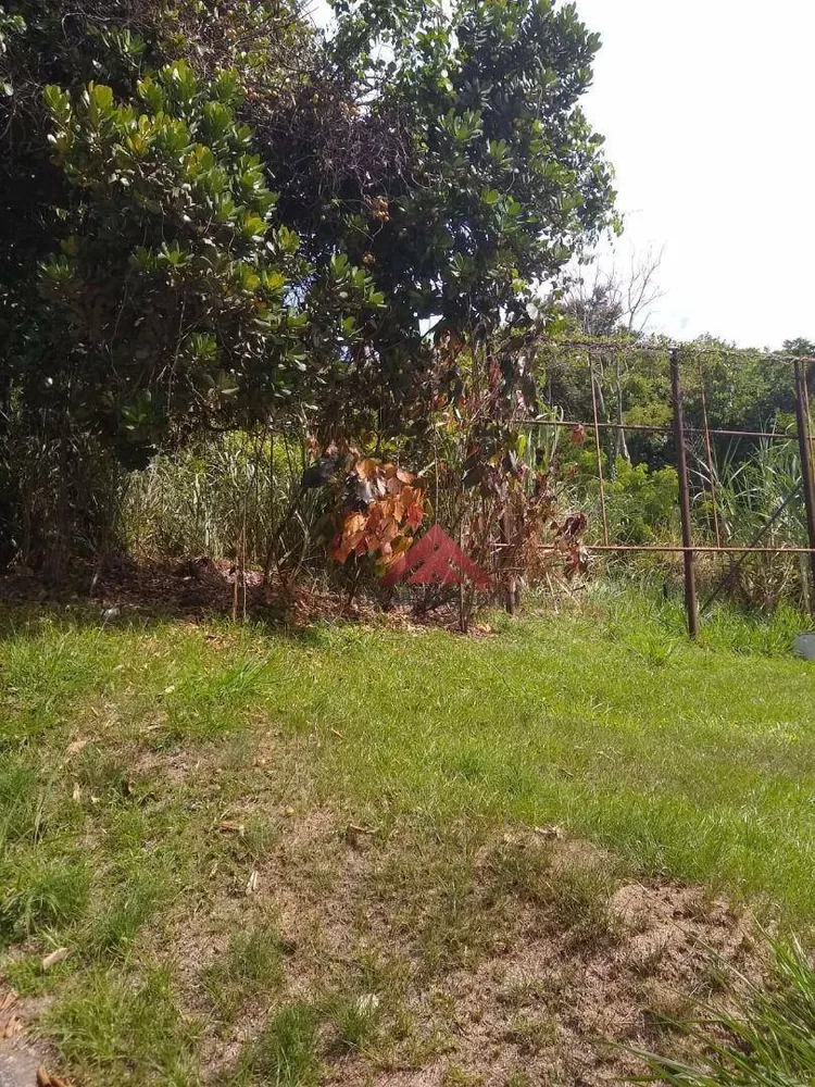Terreno, 3 hectares - Foto 16