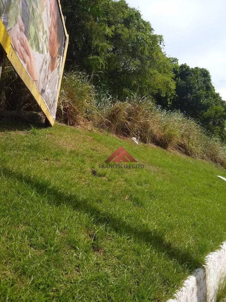 Terreno, 3 hectares - Foto 9