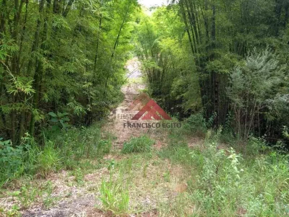 Sítio, 3 quartos, 18 hectares - Foto 21