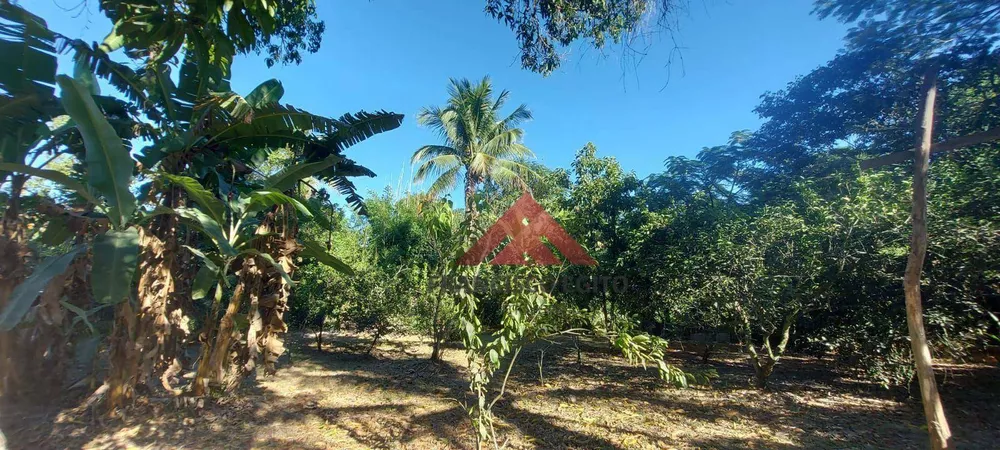 Chácara, 2 quartos, 4006 m² - Foto 20