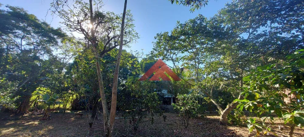 Chácara, 2 quartos, 4006 m² - Foto 24