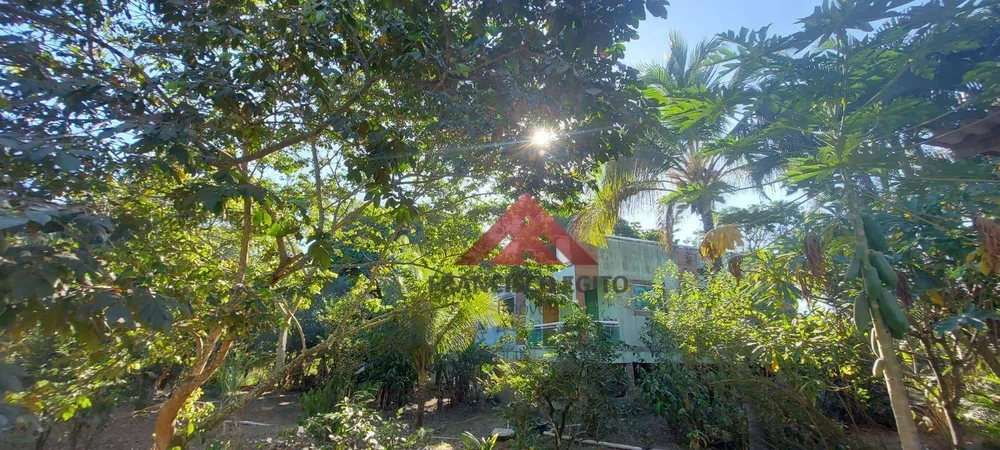 Chácara, 2 quartos, 4006 m² - Foto 23