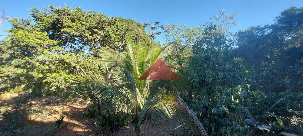 Chácara, 2 quartos, 4006 m² - Foto 21