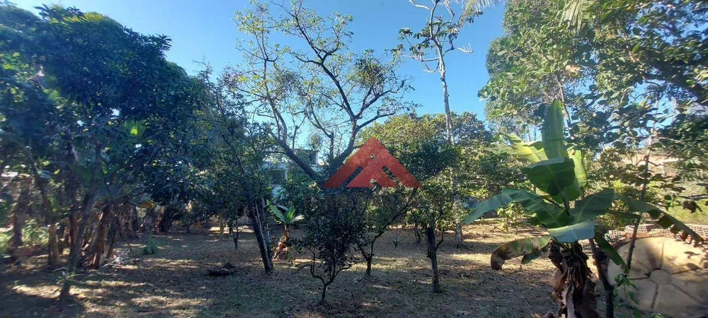 Chácara, 2 quartos, 4006 m² - Foto 22