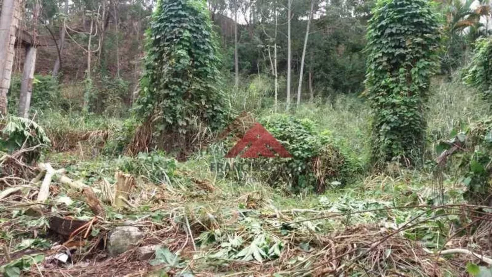 Terreno, 3000 m² - Foto 8
