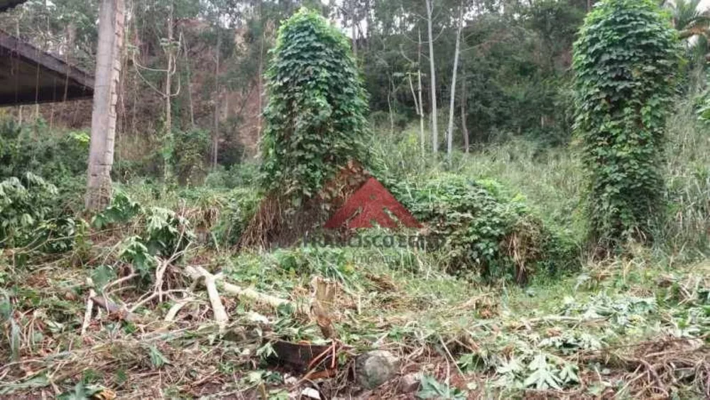 Terreno, 3000 m² - Foto 14