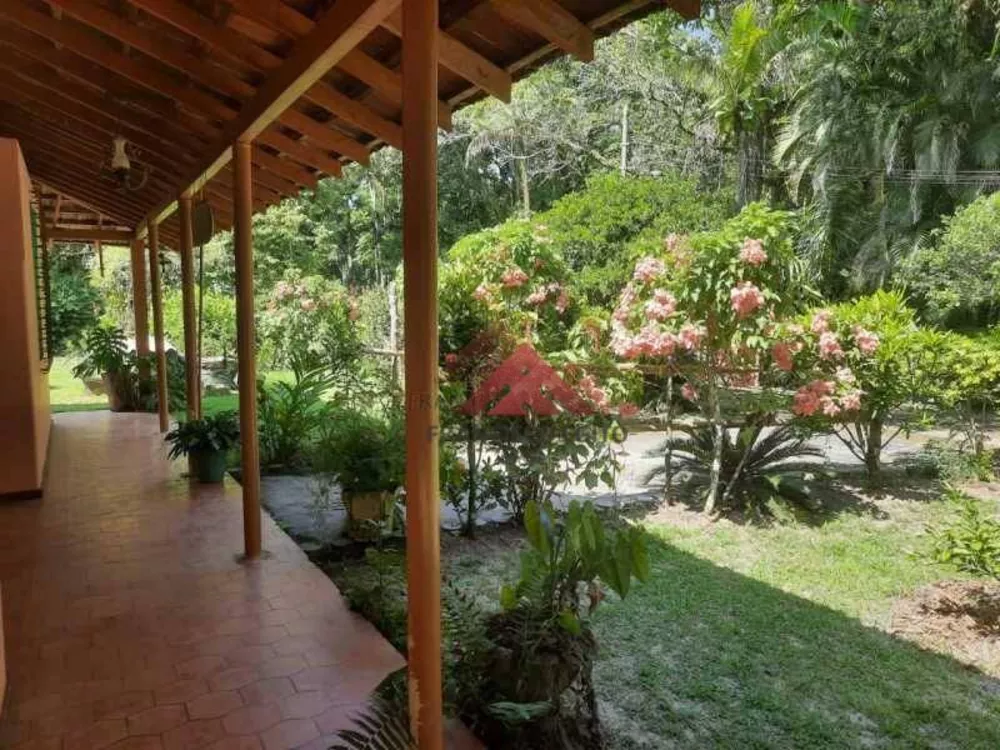 Sítio, 2 hectares - Foto 4