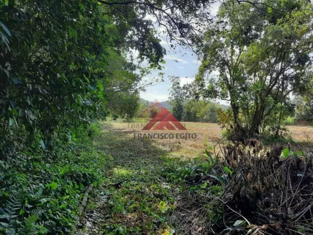 Sítio, 2 hectares - Foto 26