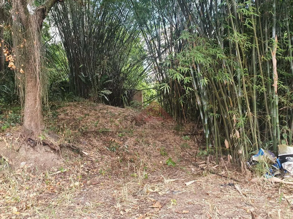 Terreno, 609 m² - Foto 7