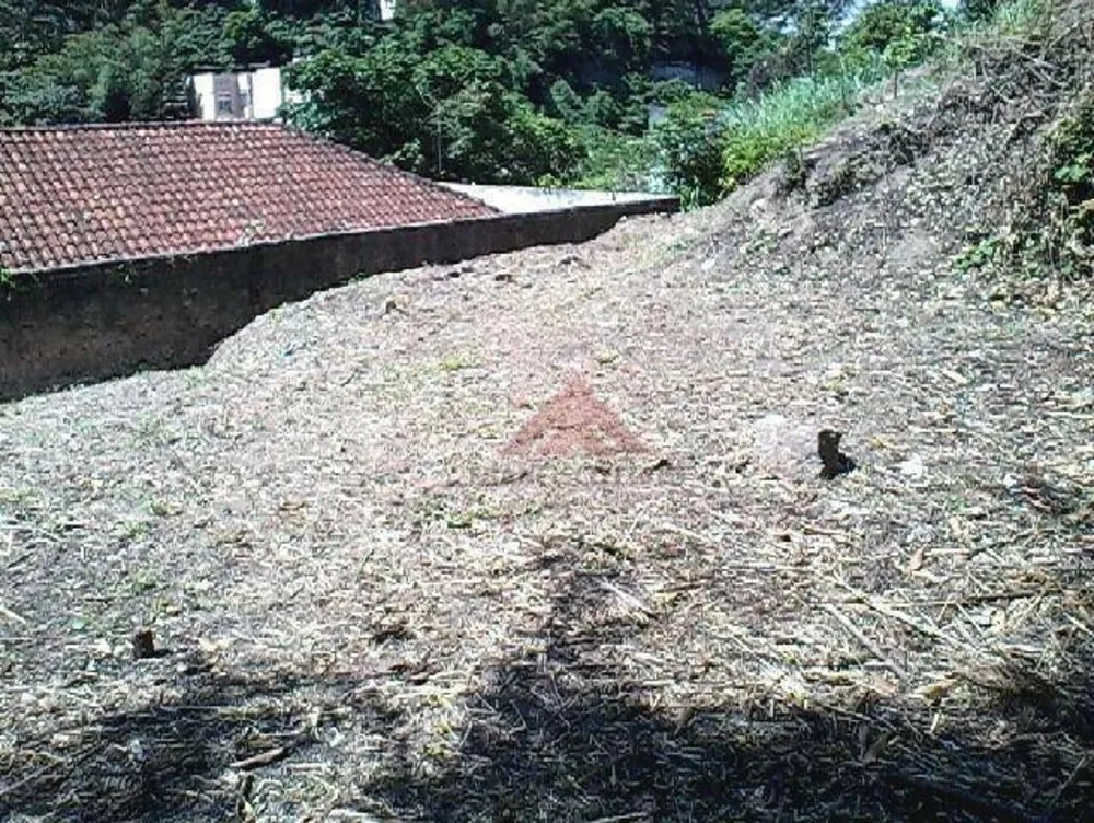 Terreno, 609 m² - Foto 5