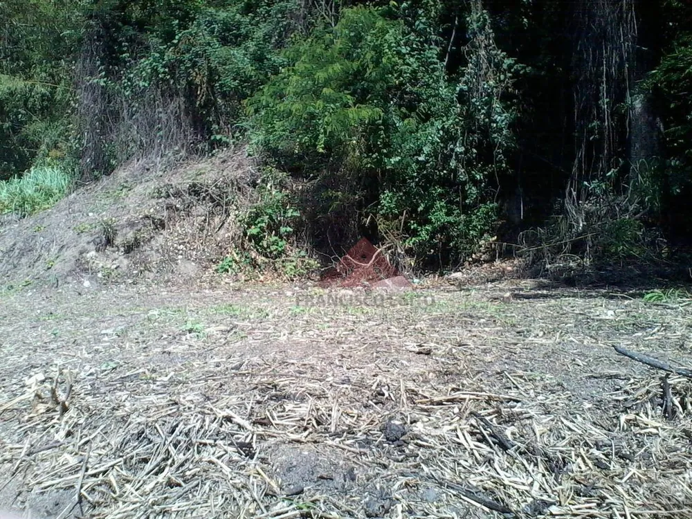 Terreno, 609 m² - Foto 8