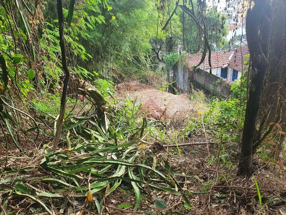 Terreno, 609 m² - Foto 15