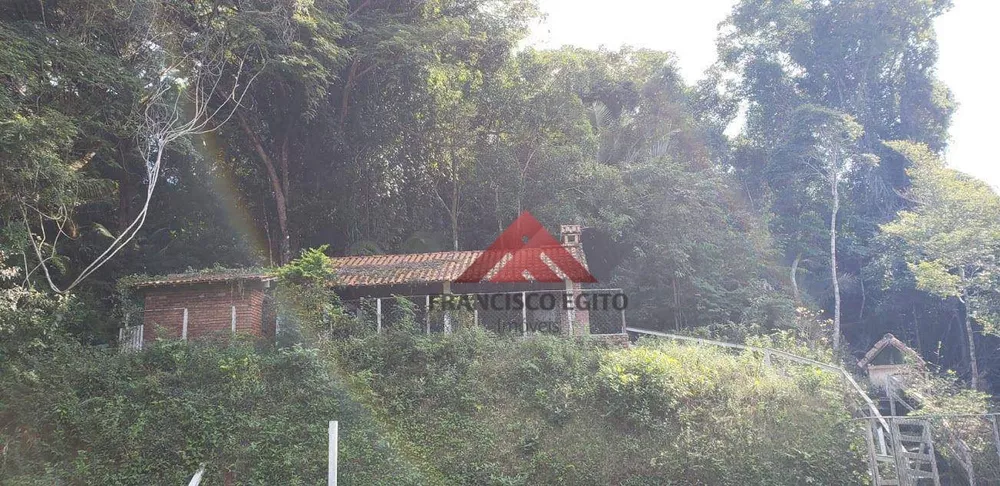 Terreno, 4 hectares - Foto 4