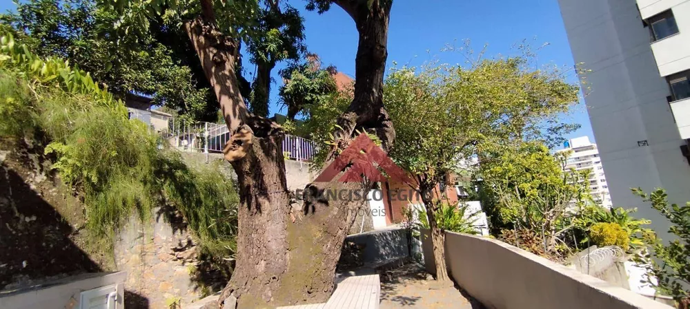 Casa, 4 quartos, 440 m² - Foto 8