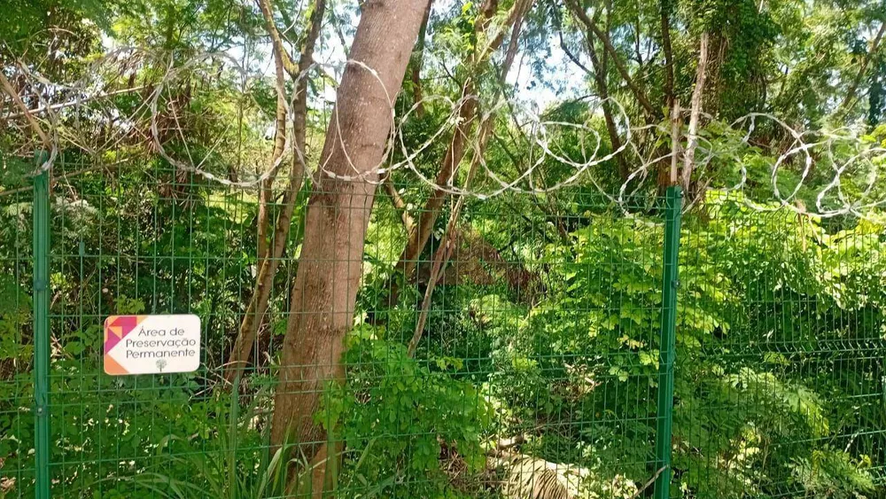 Apartamento, 2 quartos, 53 m² - Foto 20