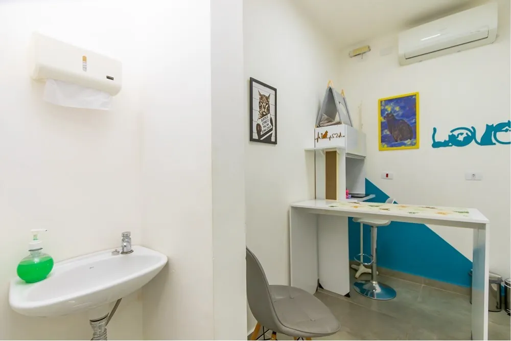 Prédio Inteiro, 156 m² - Foto 15