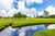 Sítio, 7 quartos, 3 hectares - Foto 32