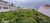 Terreno, 1195 m² - Foto 1