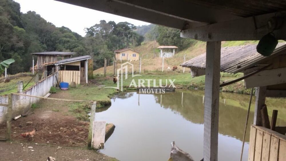 Sítio à venda com 5 quartos, 1200m² - Foto 12