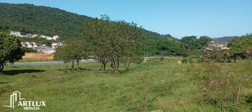 Terreno, 16 hectares - Foto 4