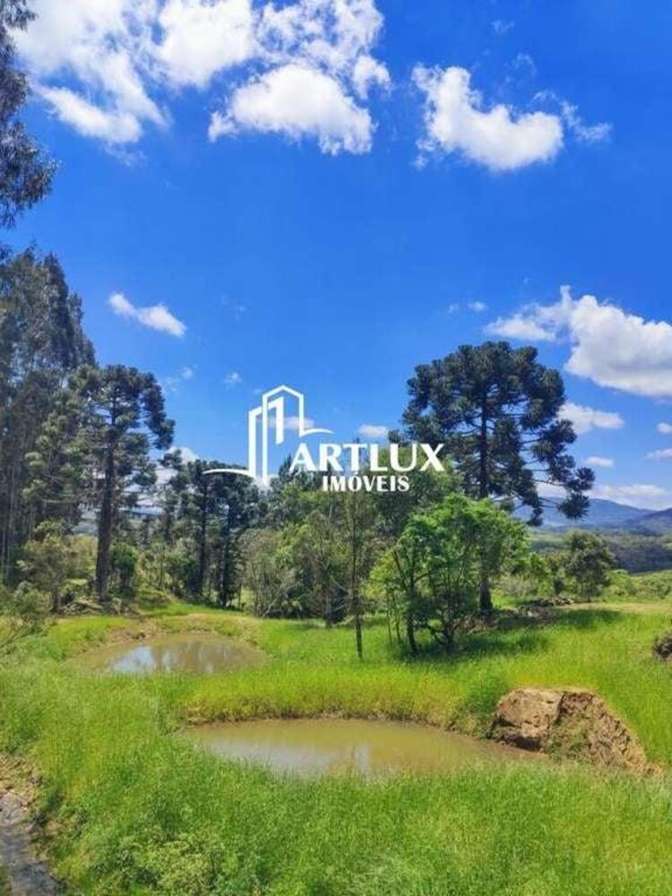 Sítio, 3 quartos, 5 hectares - Foto 26