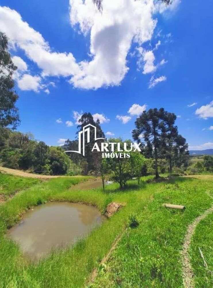 Sítio, 3 quartos, 5 hectares - Foto 11