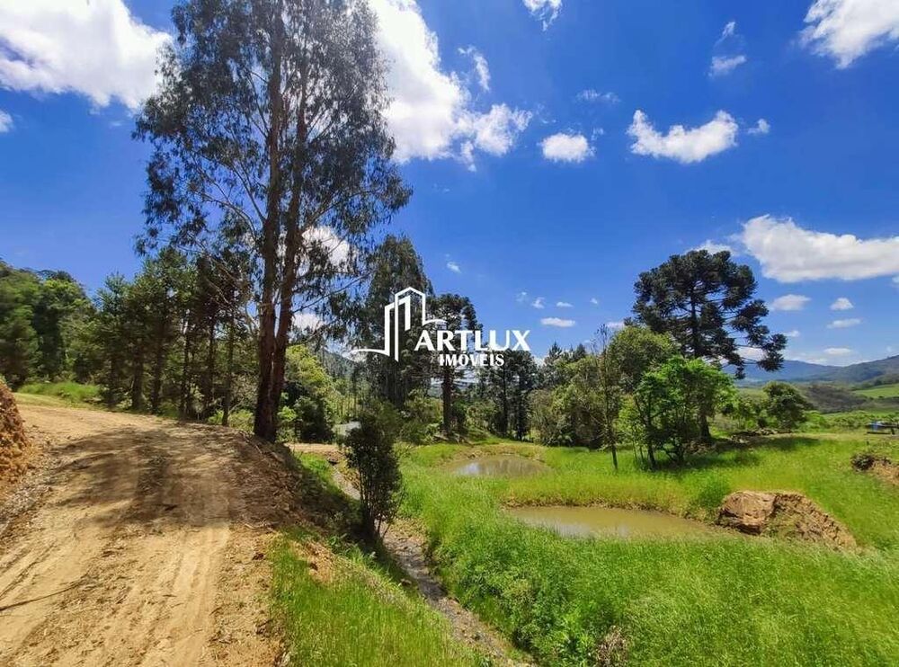 Sítio, 3 quartos, 5 hectares - Foto 14