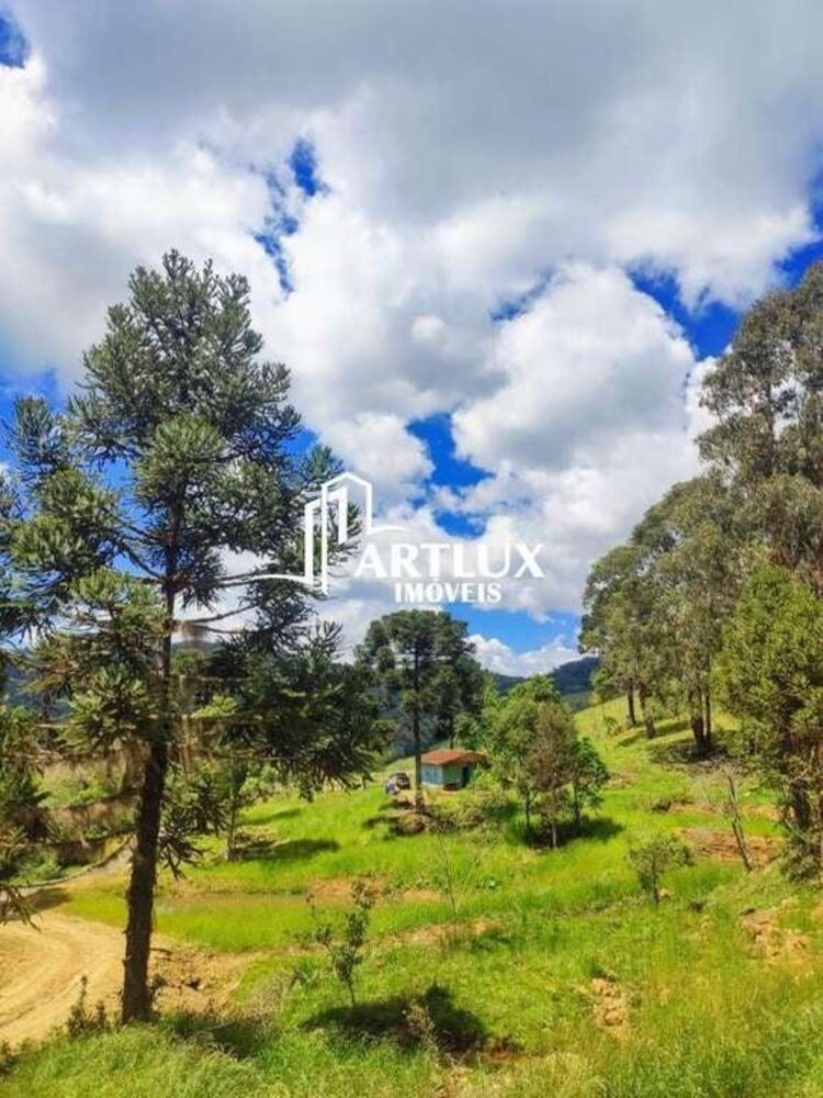 Sítio, 3 quartos, 5 hectares - Foto 3