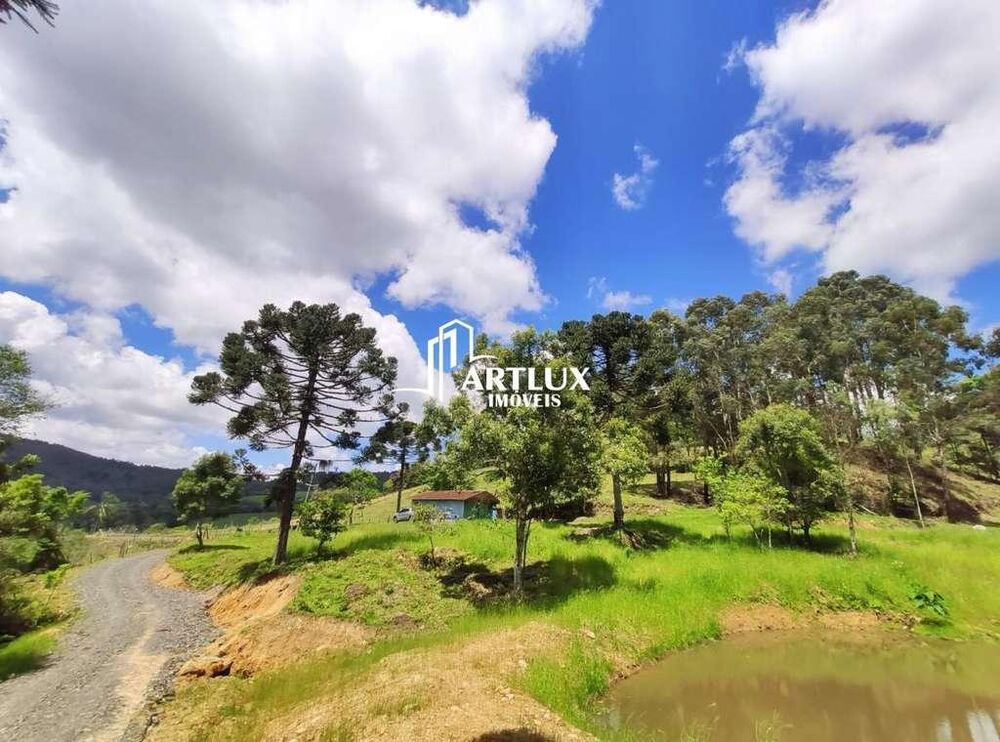 Sítio, 3 quartos, 5 hectares - Foto 25