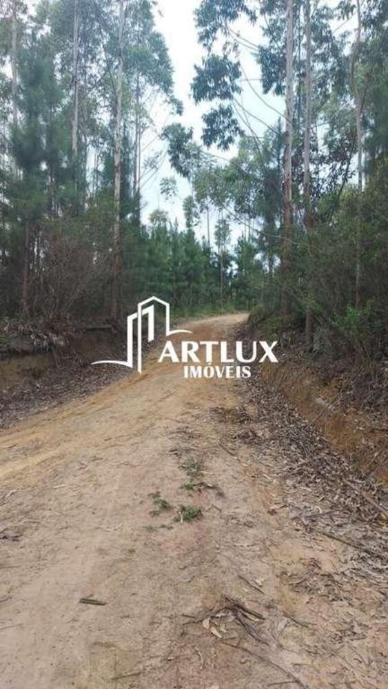 Terreno, 4 hectares - Foto 3