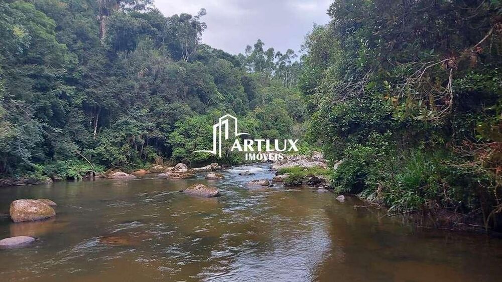 Terreno, 4 hectares - Foto 4
