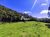 Terreno, 6 hectares - Foto 4