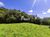 Terreno, 6 hectares - Foto 2