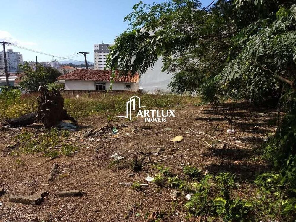 Terreno, 692 m² - Foto 6