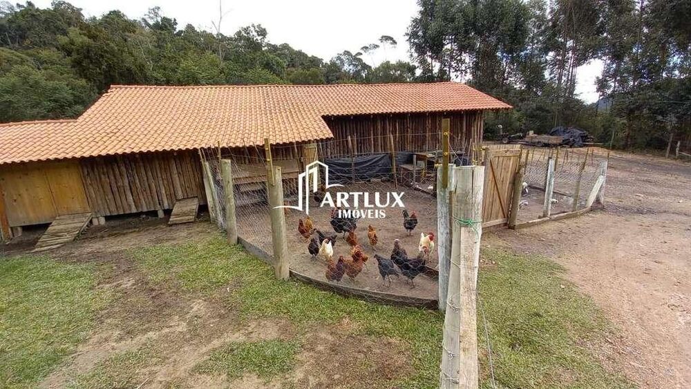 Sítio à venda com 6 quartos, 180m² - Foto 19