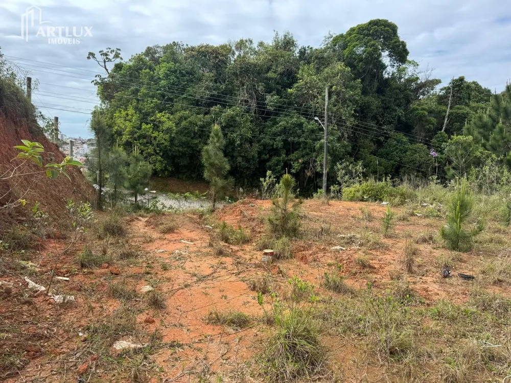 Terreno, 360 m² - Foto 3