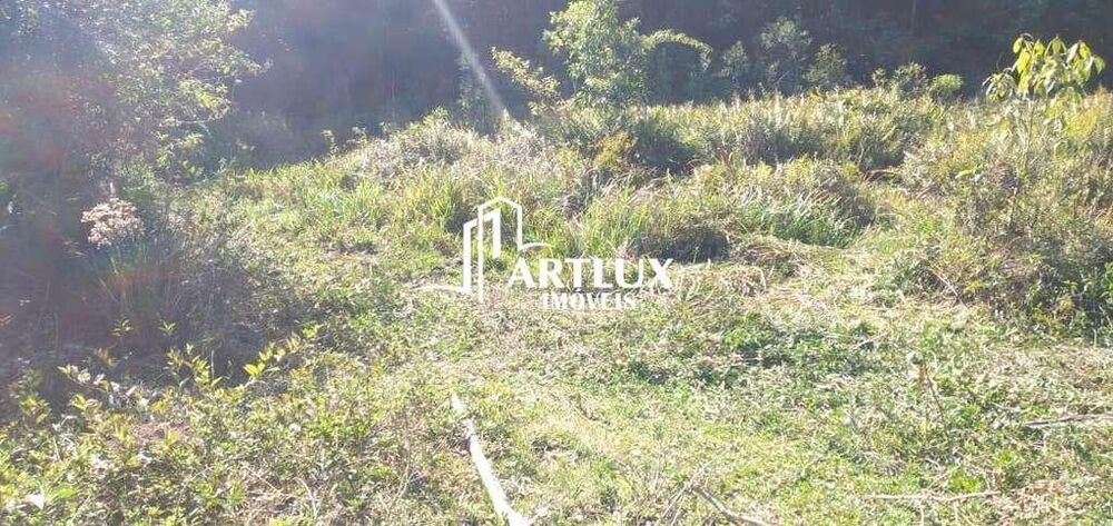 Terreno, 3 hectares - Foto 10