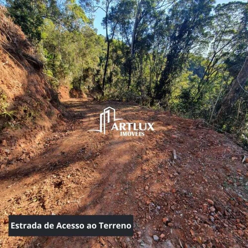 Terreno, 3 hectares - Foto 6