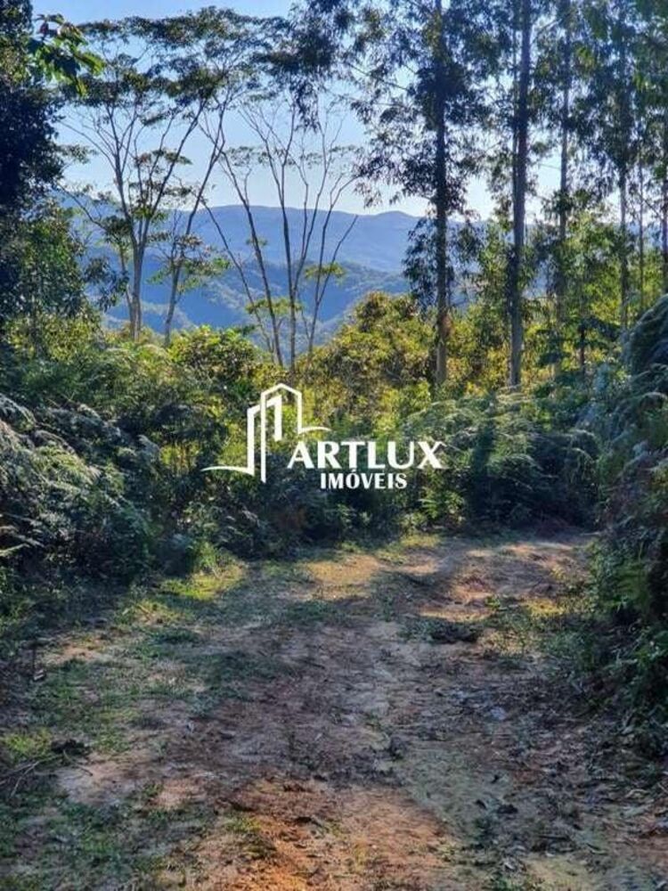 Terreno, 3 hectares - Foto 2