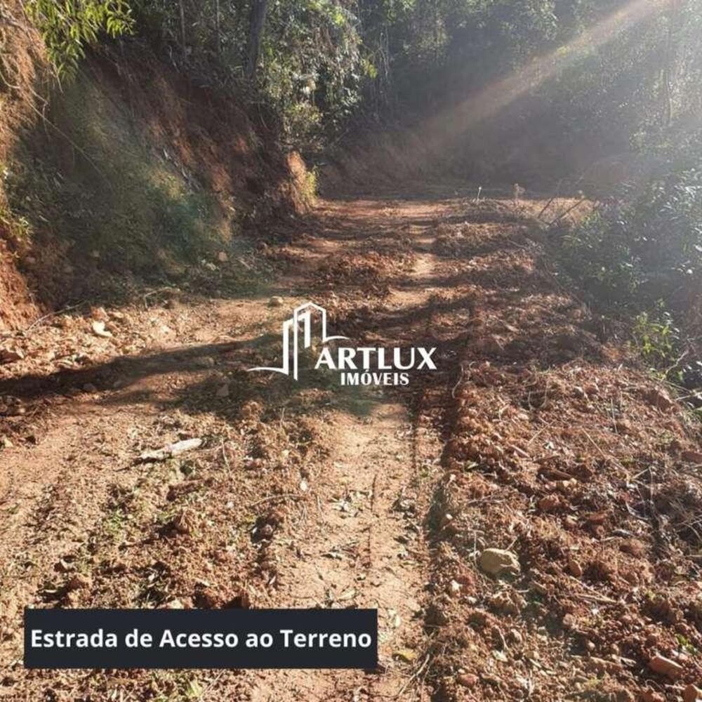 Terreno, 3 hectares - Foto 5