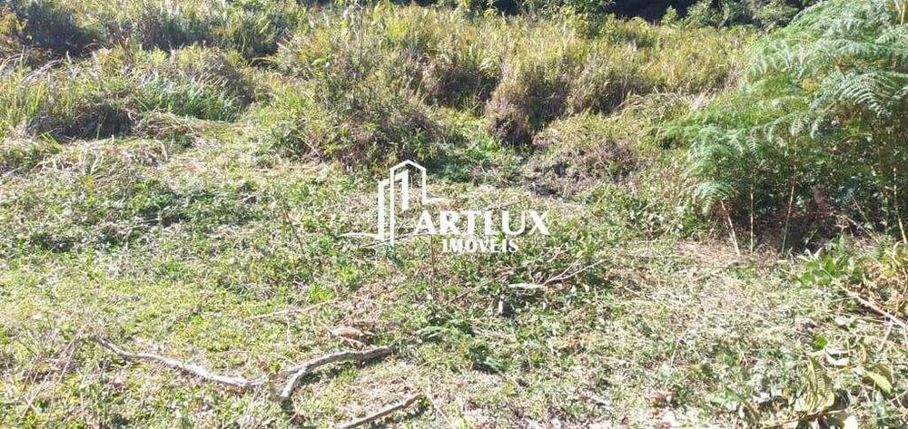 Terreno, 3 hectares - Foto 7