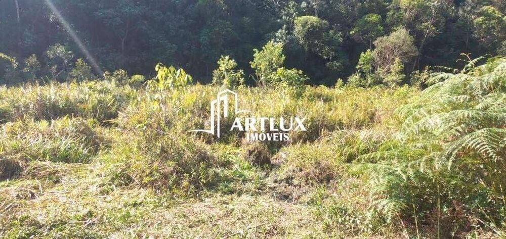 Terreno, 3 hectares - Foto 8