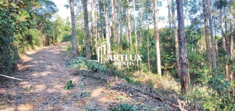 Terreno, 3 hectares - Foto 9