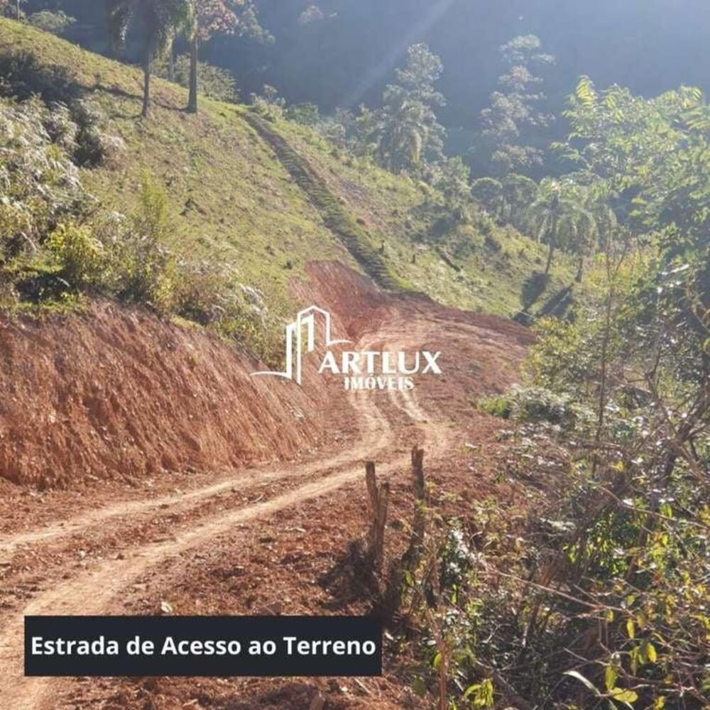 Terreno, 3 hectares - Foto 4