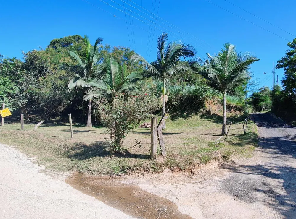 Sítio, 3 quartos, 6 hectares - Foto 4