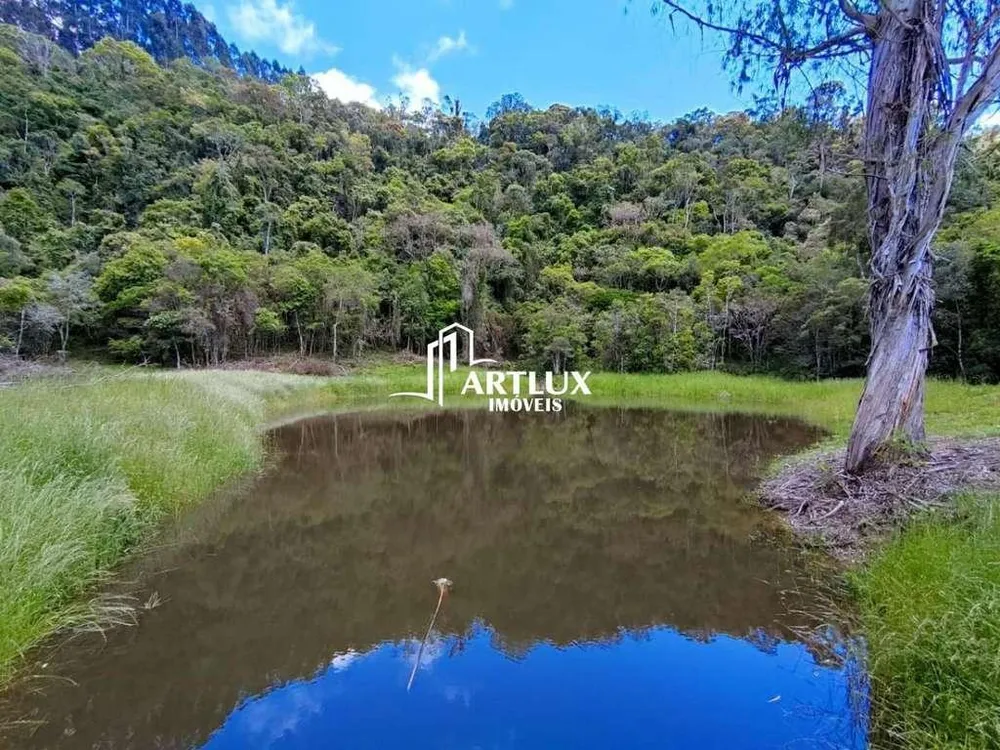 Sítio, 3 quartos, 19 hectares - Foto 3