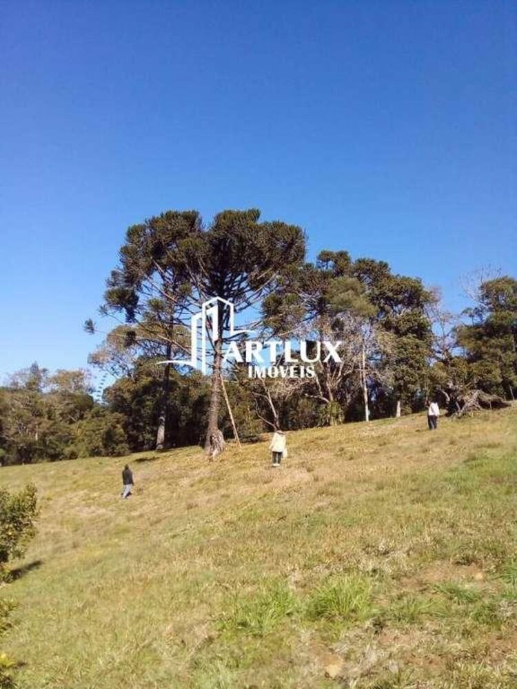 Sítio à venda com 3 quartos, 105000m² - Foto 10