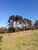 Sítio, 3 quartos, 10 hectares - Foto 4